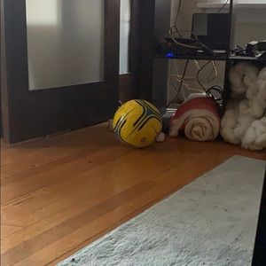 Meet your Posher, Madeline